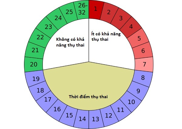 cach tinh ngay tranh thai 1 - Cách tính ngày an toàn để tránh thai hiệu quả