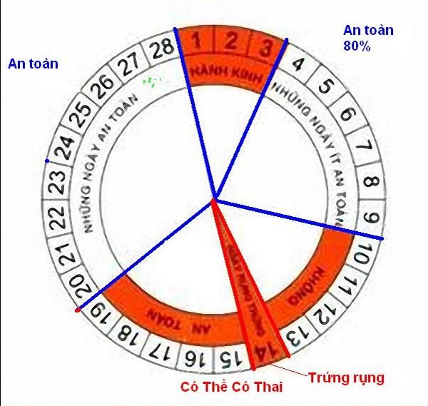 cach tinh ngay tranh thai 2 - Cách tính ngày an toàn để tránh thai hiệu quả