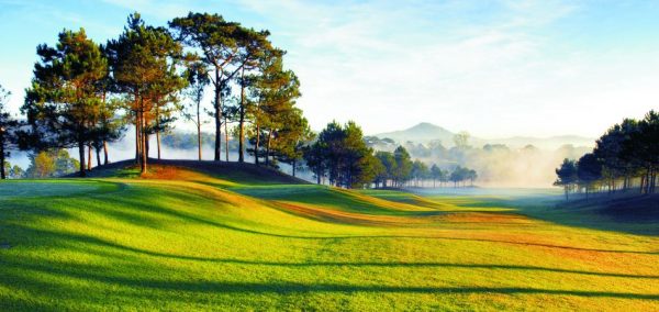 Đồi cù Đà Lạt – lá phổi xanh giữa lòng thành phố doi cu da lat 1 600x284 - Đồi cù Đà Lạt – lá phổi xanh giữa lòng thành phố