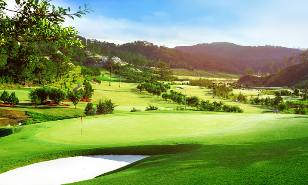 Đồi cù Đà Lạt – lá phổi xanh giữa lòng thành phố doi cu da lat 2 600x360 - Đồi cù Đà Lạt – lá phổi xanh giữa lòng thành phố