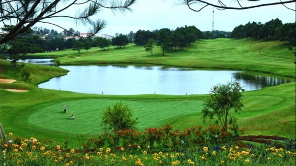 Đồi cù Đà Lạt – lá phổi xanh giữa lòng thành phố doi cu da lat 4 600x337 - Đồi cù Đà Lạt – lá phổi xanh giữa lòng thành phố