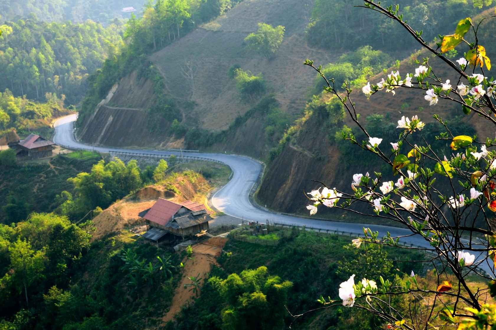Top 10 địa điểm chụp ảnh đẹp nhất ở Tây Bắc dien bien xinh dep - Top 10 địa điểm chụp ảnh đẹp nhất ở Tây Bắc